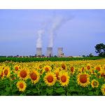Fotografia de Les renovables: la millor alternativa a l'energia nuclear?