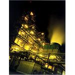 Picture of Maximization of safety in plants