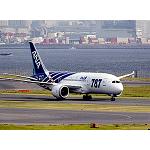 Foto de Socios de Hegan en la fabricaci�n del Boeing 787 Dreamliner