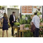 Foto de Iberflora mostrar� como cultivar en casa, mediante la recreaci�n de un huerto urbano
