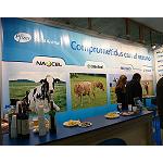 Foto de Pfizer asiste al XVII Congreso Internacional Anembe de Medicina Bovina