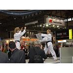 Foto de Novedades y artes marciales se dan la mano con Z�nd