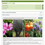 Foto de Aki lanza un nuevo servicio online para jard�n
