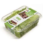 Foto de Aimplas presenta en Hispack un envase biodegradable que alarga la vida de los alimentos envasados