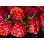 Foto de Evoluci�n positiva de la exportaci�n espa�ola de frutas y hortalizas en el primer trimestre