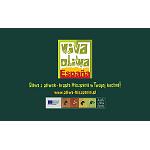 Fotografia de Els olis d'oliva se sumen a la �marea vermella� en l'Eurocopa 2012