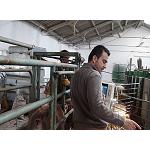 Foto de El CITA estudia a los consumidores de carne de cordero en Arag�n