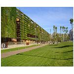 Fotografia de Murs vegetals: edificis com a arbres i ciutats com a boscos
