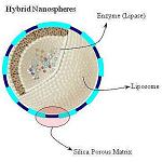 Picture of They create a hybrid catalyst more effective for the production of biofuels