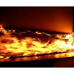 Picture of Tecnalia organises the II Days of hygiene in front of Fire based in Provision