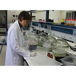Picture of Better foods conserved, thanks to new materials and substances for active containers