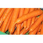Picture of Carrots refused to produce bioetanol
