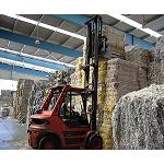 Picture of Spain recycles more than 5 million tonnes of paper and cardboard in 2012