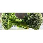 Picture of The markets of the centre of Europe: big consumers of the vegetables of spring murciana