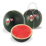 Picture of It starts the campaign of commercialisation of watermelon Marks Fashion