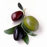 Picture of More than 5 M� to promote the olive of table in Spain, France and United Kingdom
