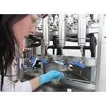 Picture of They extract Omega 3, 6 and 9 of microalgas for his use in cosmetic and feeding