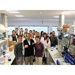 Foto de Nuevo nanomaterial natural: seda de �caro rojo