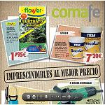 Picture of Comafe Edits a new brochure