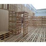 Foto de Sonae Ind�stria colabora en el proyecto Palet Project