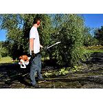 Foto de Stihl reafirma su apuesta por el olivar espa�ol