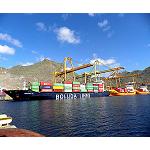 Picture of Capsa Fulfils 50 years like referent in the traffic of containers in Canaries