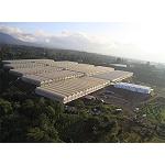 Fotografia de Ulma Agr�cola realitza la planta m�s gran de Llatinoam�rica dedicada a la producci� de pimentones baix hivernacle