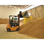 Picture of It expects  a reduction of 30% in the harvest of almond for this campaign