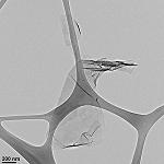 Picture of New coating based in the nanotechnology