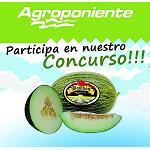 Picture of The culinary creativity has prize with the traditional �Contest of Recipes with Melon Bomb�n of Agroponiente'