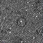 Picture of Polymers with optical and electrical properties to the letter