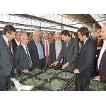 Picture of The minister of Agriculture visits the installations of Agroponiente