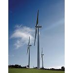 Fotografia de Galp Energia s'incorpora a l'Associaci� Empresarial E�lica
