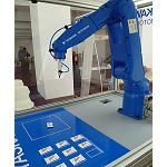 Picture of Yaskawa Participates in the Days Ayri11