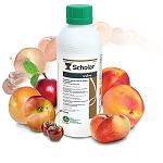 Fotografia de Syngenta i Tecnidex presenten Scholar, la soluci� poscosecha per a fruita d'os