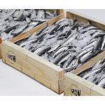Foto de La UE corrige el requisito ‘impermeable’ en envases de pescado por ‘resistente al agua’