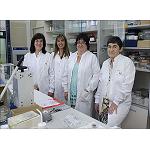 Picture of Researchers at the UPV/EHU created a new material capable of detecting alcohol and reusable