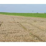 Foto de Una PAC para los agricultores activos profesionales