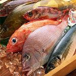 Fotografia de Informi FAO sobre el mercat mundial de productes de la pesca