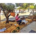 Fotografia de Reeixida primera edició del PARK (ing) Day de la Comunitat Verda