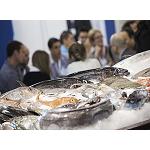 Picture of Seafood Barcelona consolidates like centre of businesses for the sector pesquero of Spain and the south of Europe