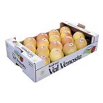 Picture of 20% of increase in the harvest and technological novelties mark the start of season of Apples Val Venosta