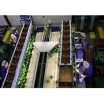 Foto de Syngenta y Agrupa Adra firman un acuerdo integral de servicios de sostenibilidad