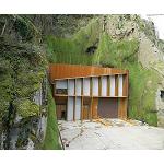 Picture of The revestimiento vegetal in walls of concrete, rewarded like innovation of the year