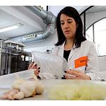 Picture of Biodegradable containers that lengthen the life of the foods thanks to molecules of garlic