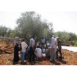 Foto de Olivicultores palestinos visitan Valencia para conocer el funcionamiento del sector olivarero