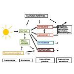 Picture of The future of the integrated management of plagues
