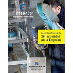 Picture of Project 'PreveFemete' on siniestralidad labour in the sector of the metal