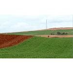 Foto de Fertilizers Europe destaca la eficacia de los fertilizantes DAN a través de una campaña