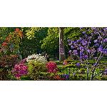 Picture of More than 375.000 people enjoyed in 2013 of the Real Botanic Garden